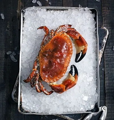 A whole cooked crab on crushed ice in a metal tray
